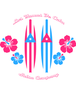 t-shirt surfer planches de surf salsa LYDC-rd