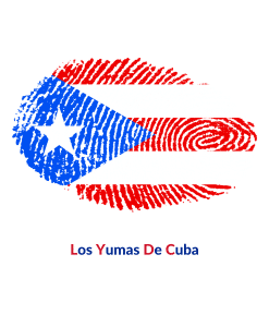 drapeau puerto-rico empreinte Salsa - Bachata - Kizomba